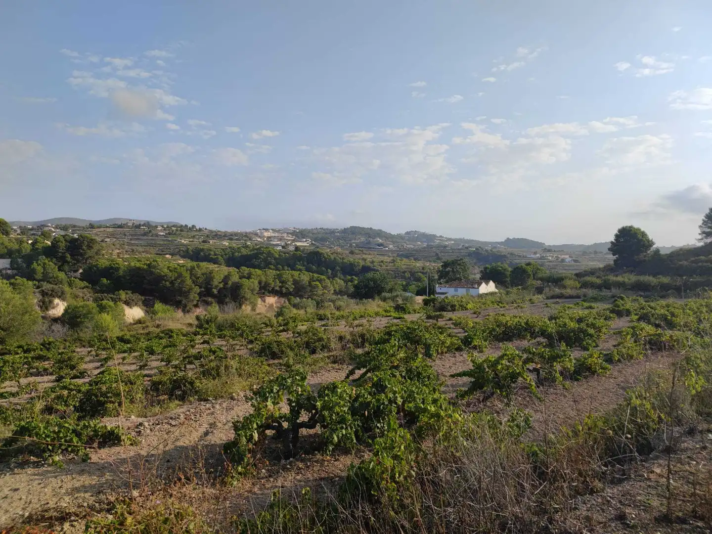 Terreny residencial en venda a Teulada, imagen 2