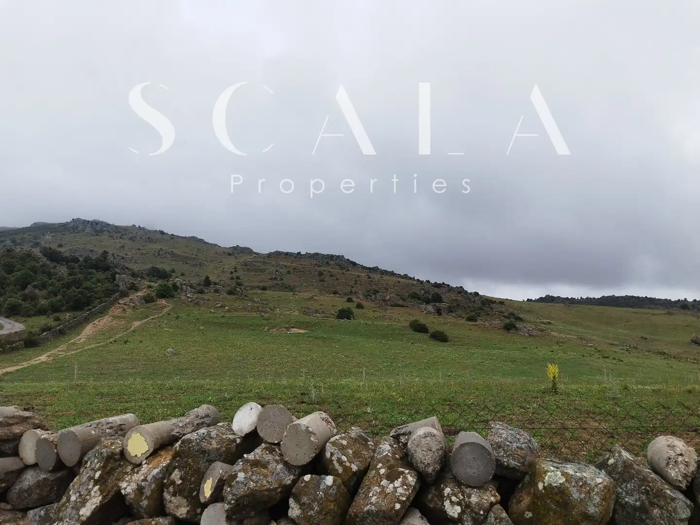 Land for sale in N/A, El Cerrillo