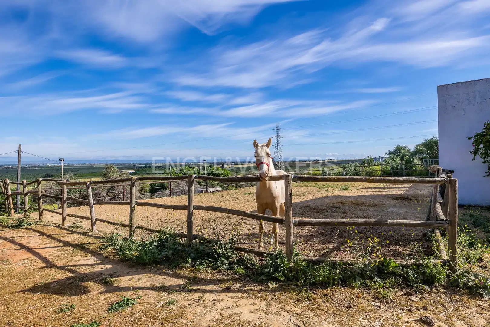 Vista exterior de Finca rústica en venda en Alcalá de Guadaira amb Calefacció, Jardí privat i Terrassa