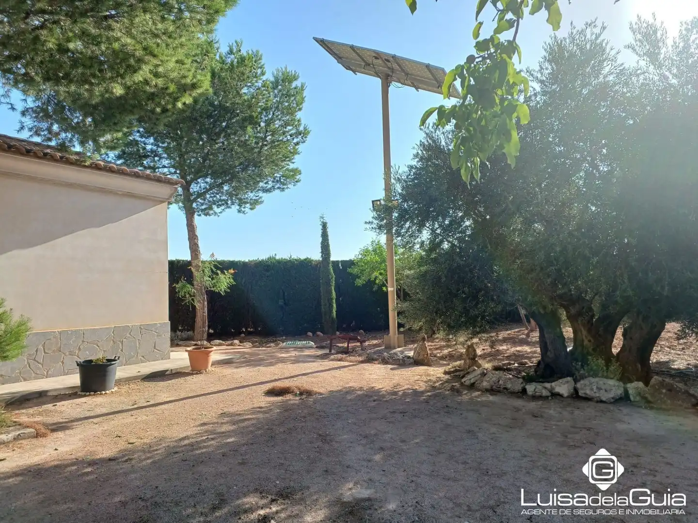 Terreno rustico in vendita a Campo de Criptana, imagen 6