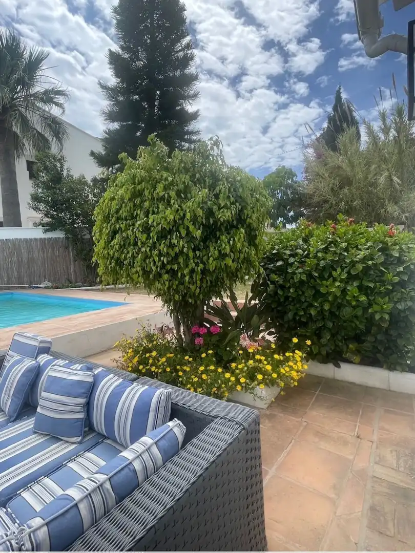 Chalet con piscina en venta en Calle Castilla s/n, imagen 16