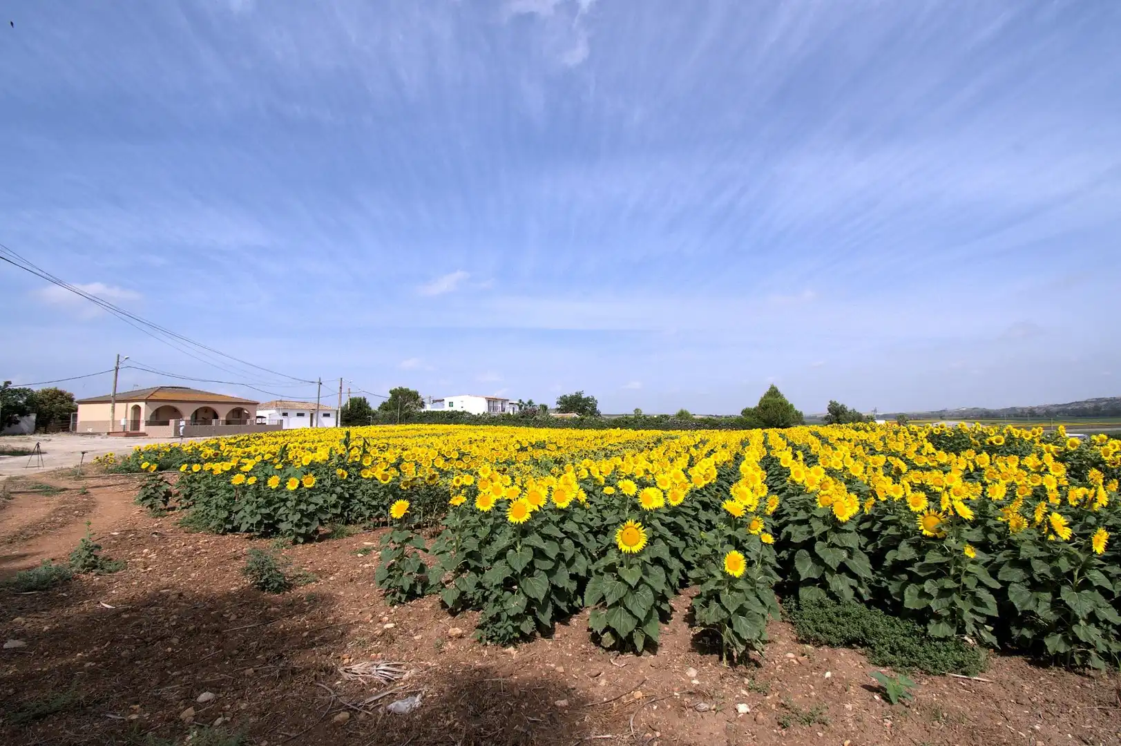 Country homes for sale in Jerez de la Frontera  with Private garden, Terrace and Furnished