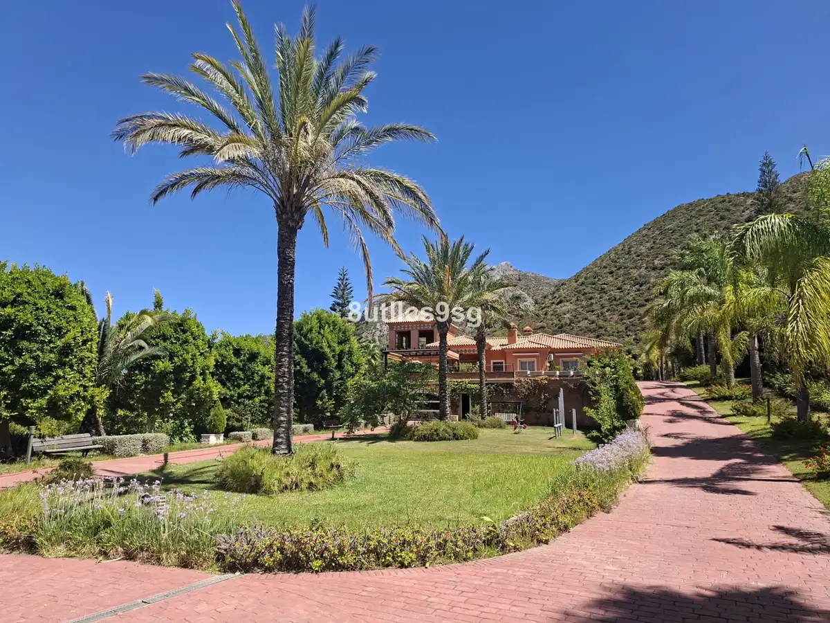 Finca rústica en venta en Istán, Málaga