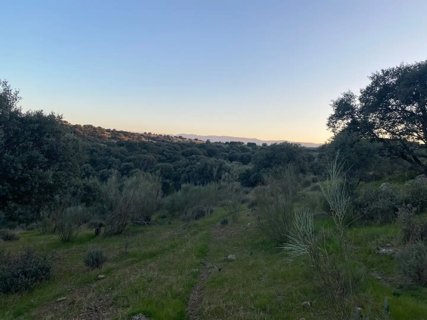 Terreni e lotti in vendita a Villar del Pedroso, imagen 10