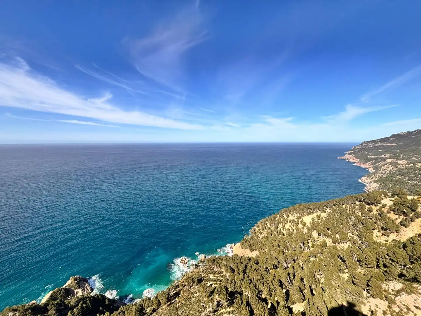 Exterior view of Land for sale in Estellencs