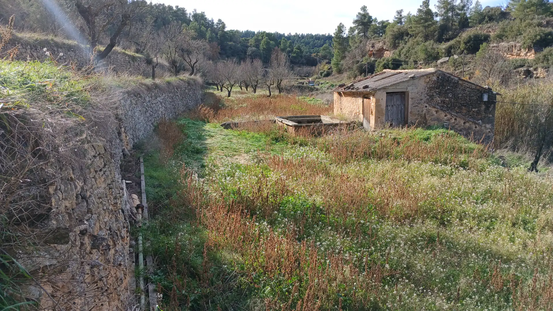 Terreni e lotti in vendita a Camino Fuente 5, imagen 8