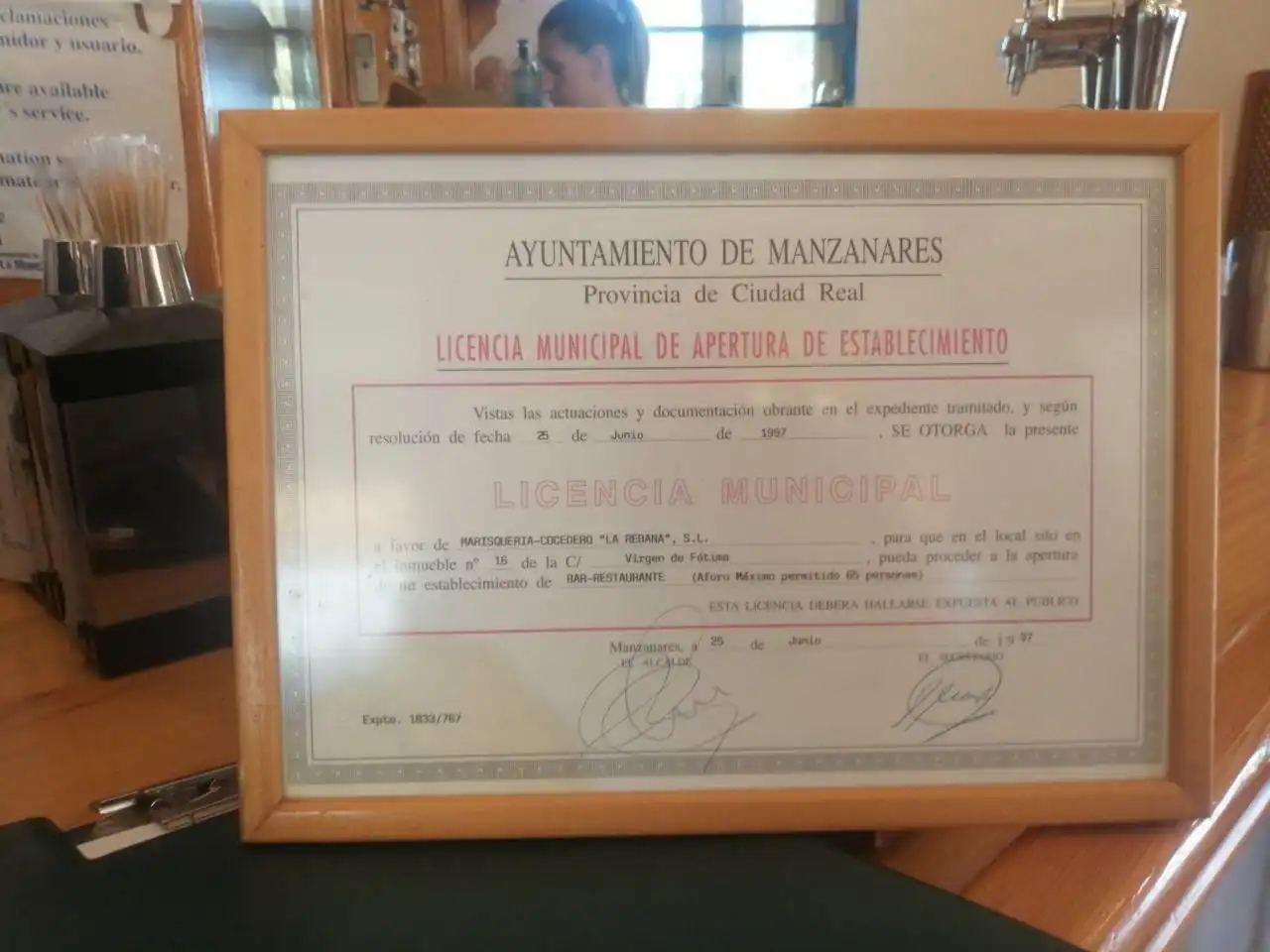 Gewerbefläche zum Verkauf in Urbanizacion Nuevo Manzanares, imagen 15
