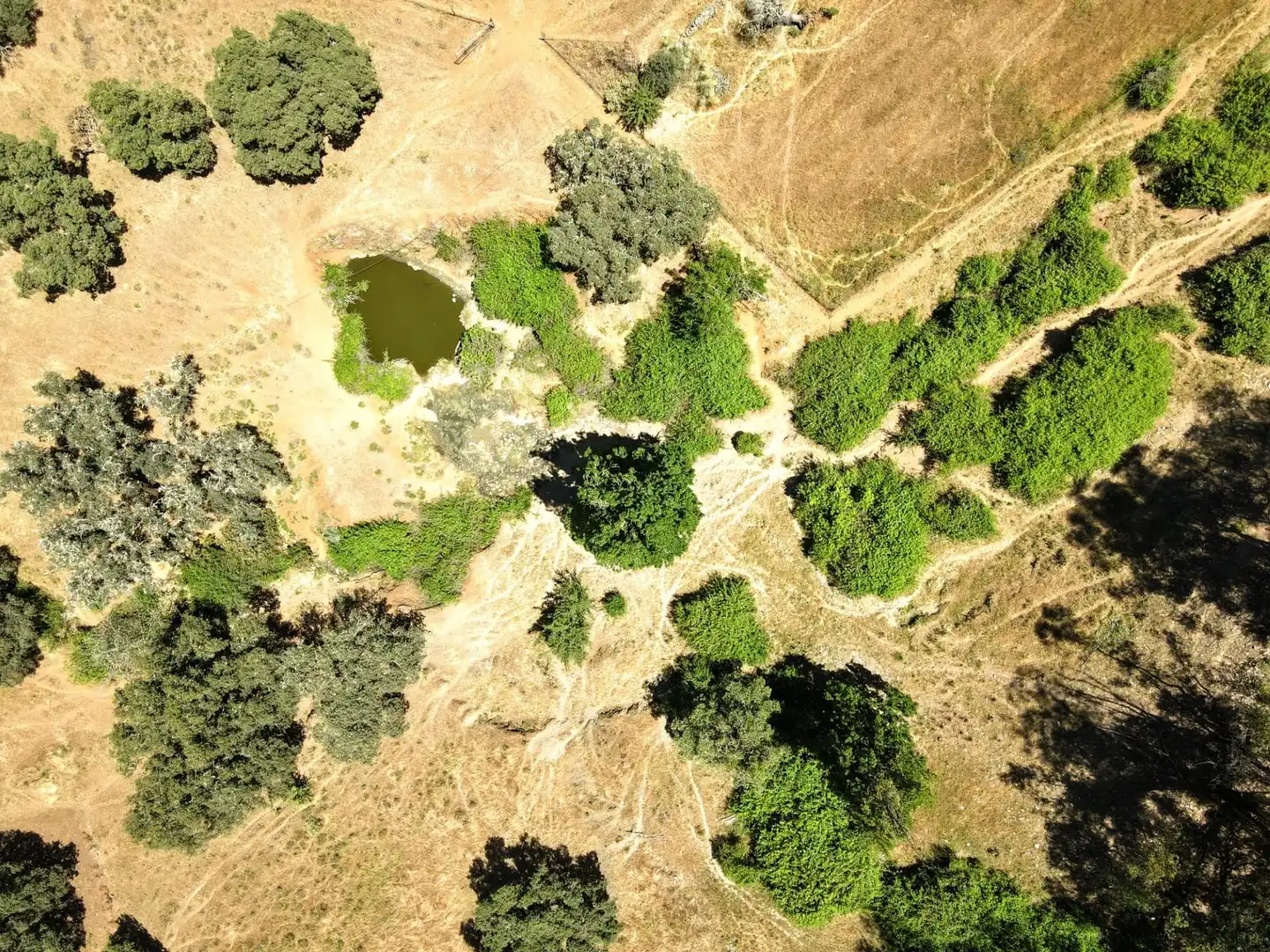 Terreni e lotti in vendita a Cazalla de la Sierra, imagen 18