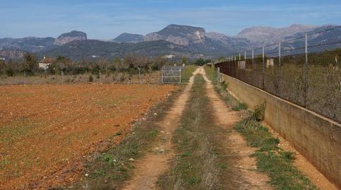 Photo 3 of Country house for sale in Binissalem, Illes Balears