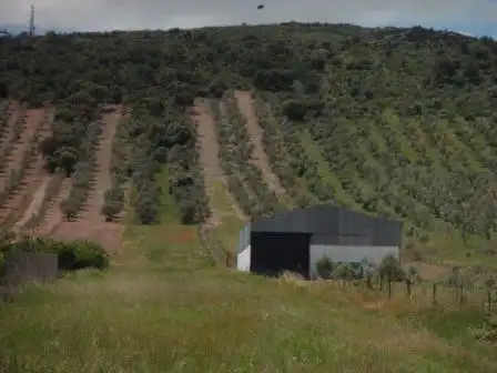 Residential zum Verkauf in Peraleda del Zaucejo