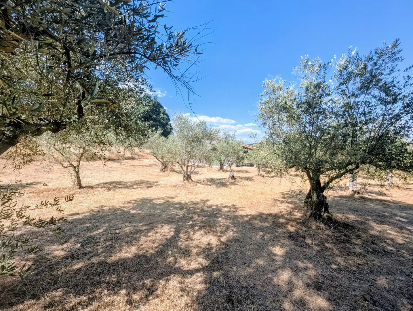 Maison à vendre à Villanueva de la Vera, imagen 73