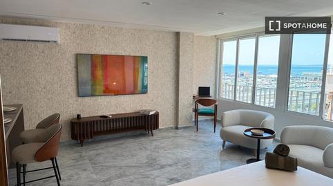 Photo 2 of Study to share in Centro, Alicante