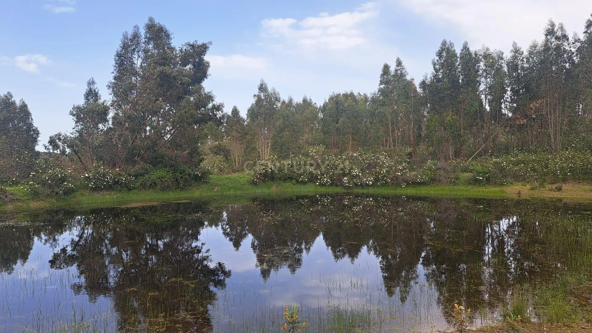 Land for sale in Herrera de Alcántara