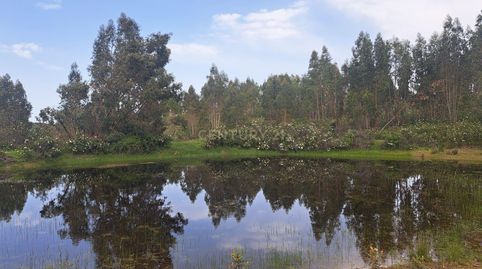 Foto 2 de Terreno en venta en Polígono 3 Parcela 2 la Garapetosa. Herrera de Alc, -1, Herrera de Alcántara, Cáceres