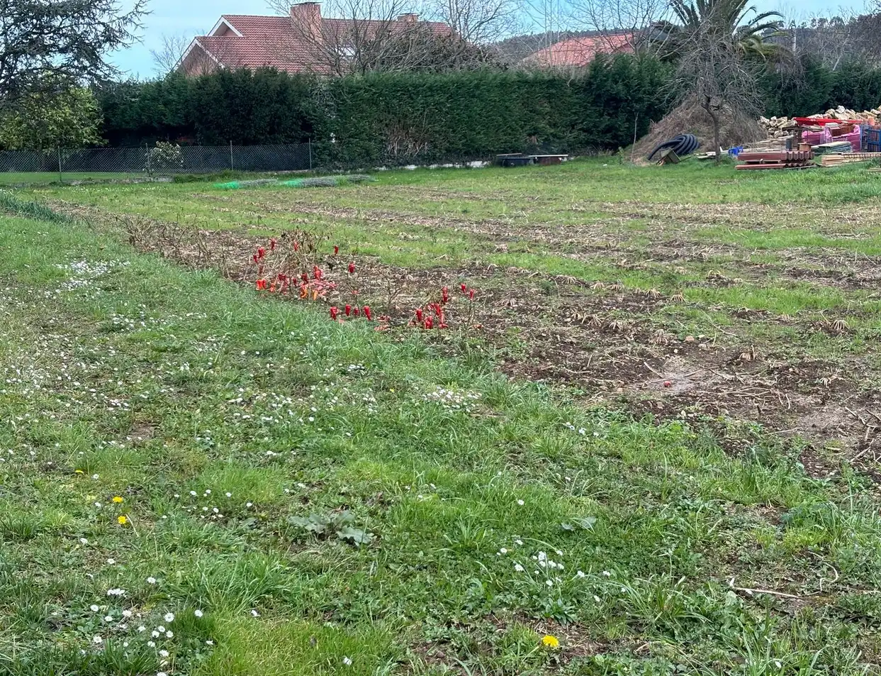 Terreno residenziale in vendita a Carretera de Caldones, imagen 18