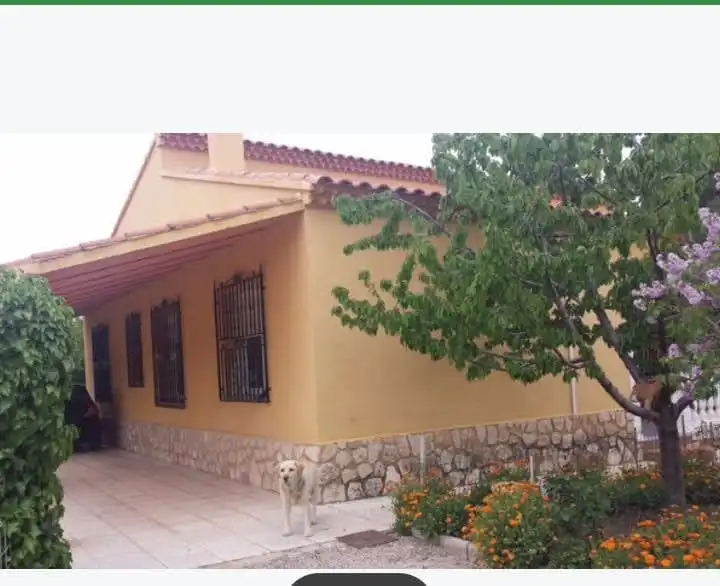 Vista exterior de Casa o chalet en venta en Albacete con Aire acondicionado, Calefacción y Jardín privado