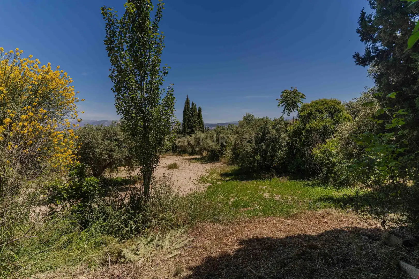 Casa o chalet en venta en Las Gabias