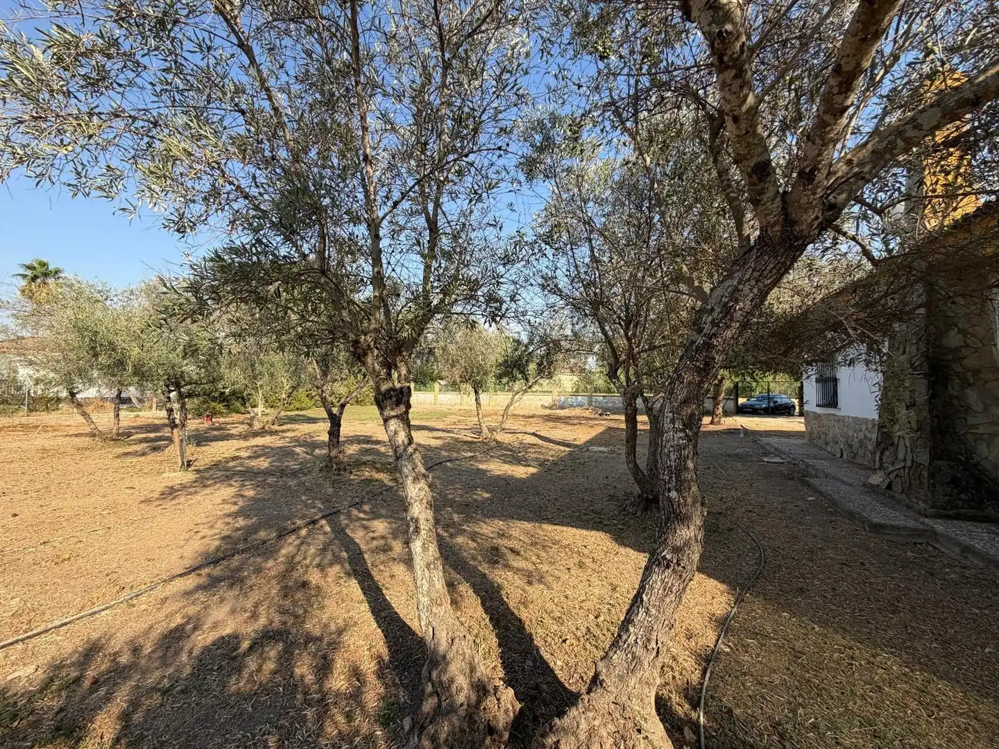 Villa avec piscine à vendre à Carmona, imagen 43