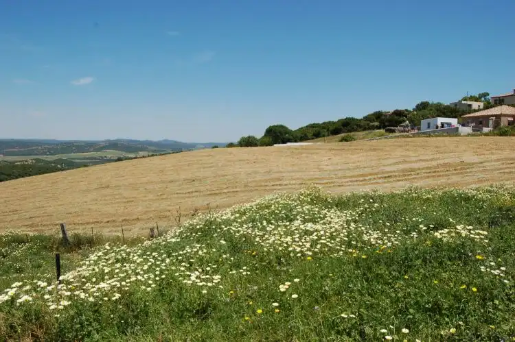 Terreni e lotti in vendita a La Muela, imagen 10