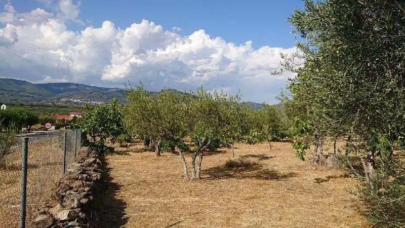 Terreni e lotti in vendita a Tejeda de Tiétar, imagen 5