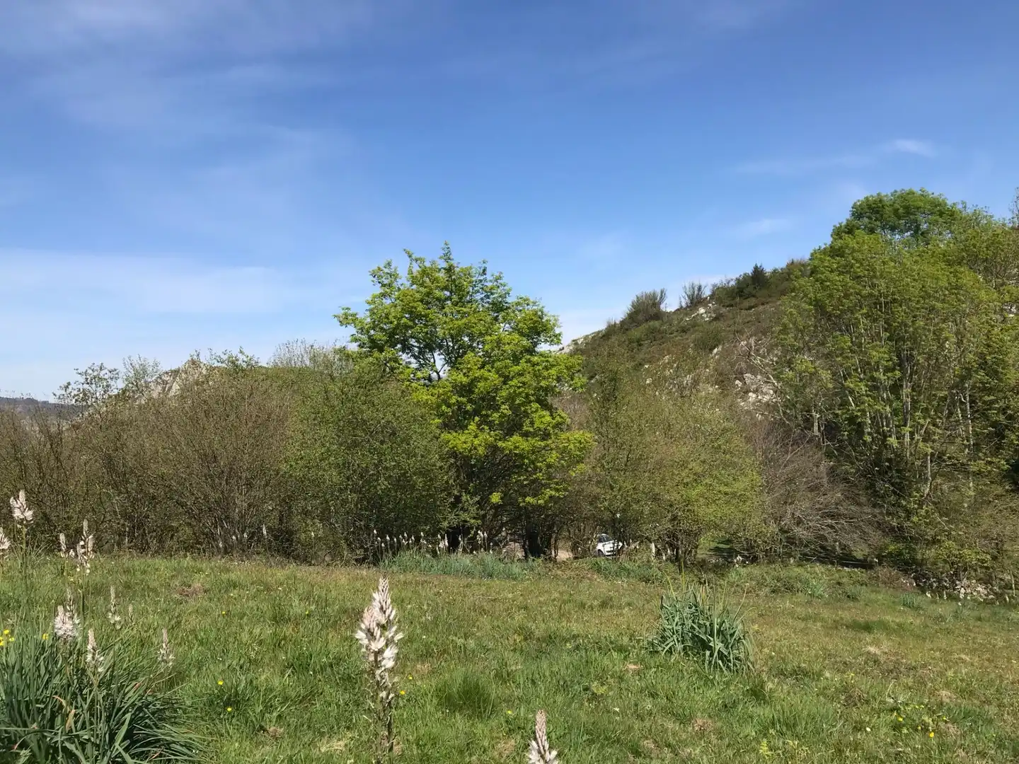 Terreno rustico in vendita a Cangas de Onís, imagen 15