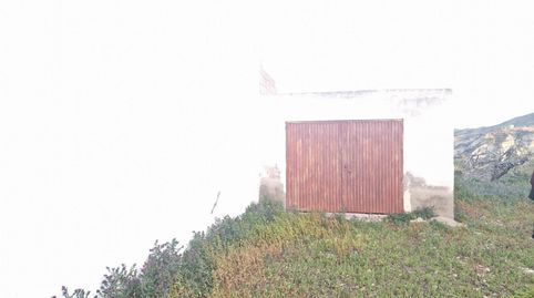 AlmanzoraTerreno, immagine 3