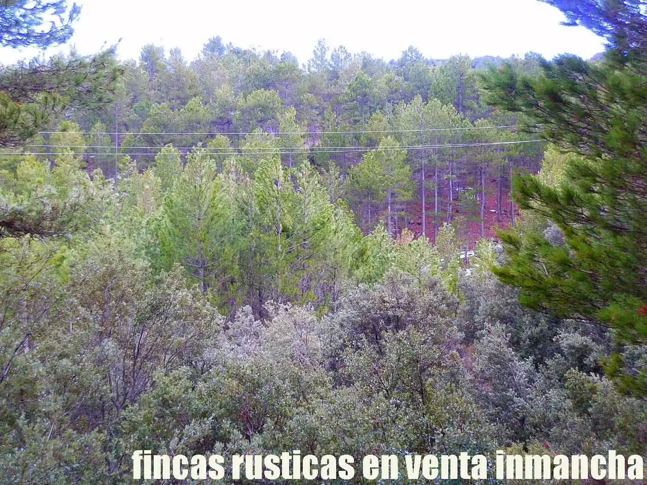 Terreno rústico en venta en Nerpio, imagen 11