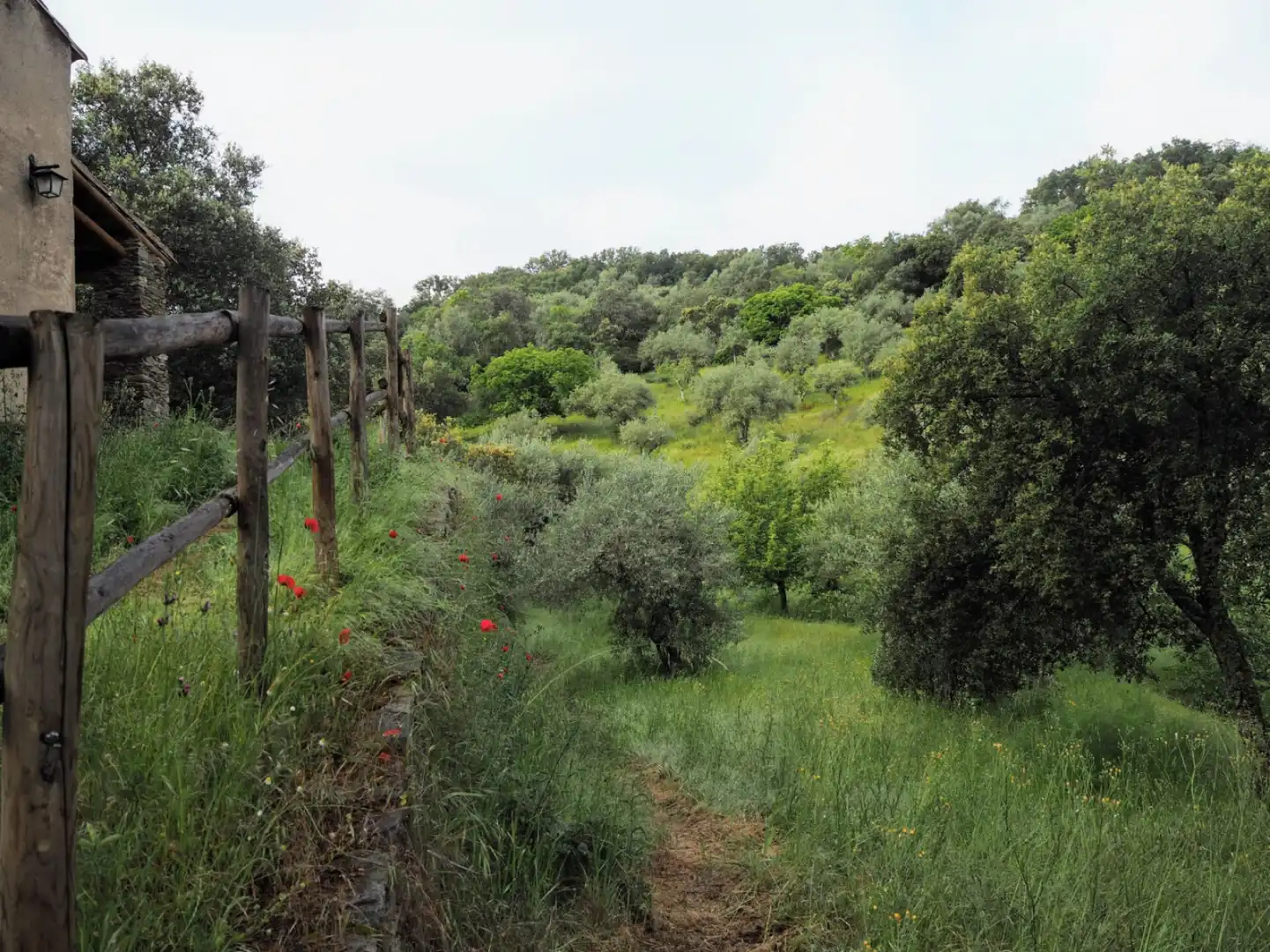 Houses for sale in Madroñera - LAS ANIMAS, Madroñera