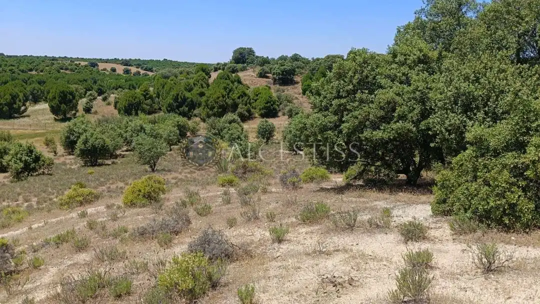 Terreno en venta en La Torre de Esteban Hambrán