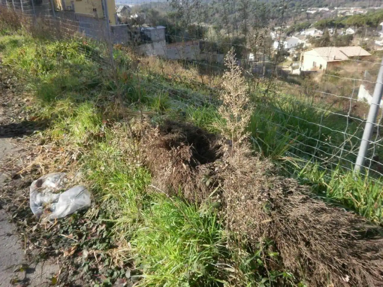 Terreno rustico in vendita a Mas Altaba - El Molí, imagen 2