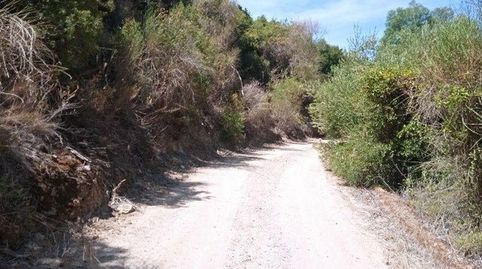 Promoción de terrenos en venta en pre. el jeme, polígono 60 en Morón de la Frontera, imatge 5