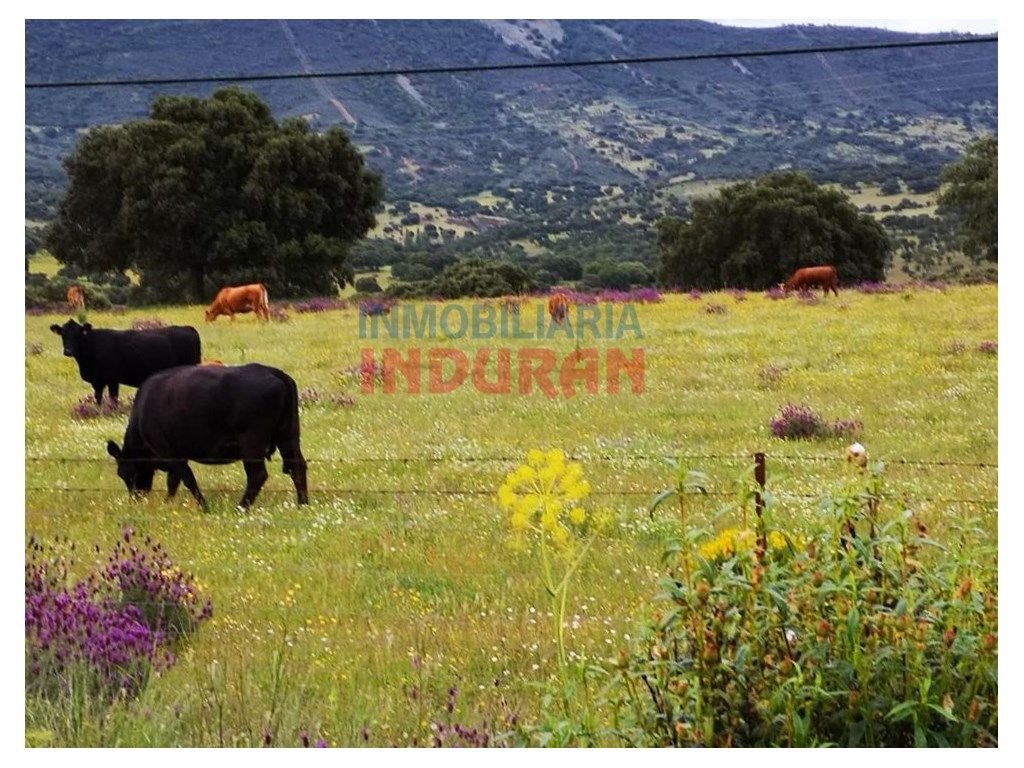 Finca rústica en venda en Alía