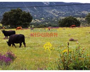 Finca rústica en venda en Alía