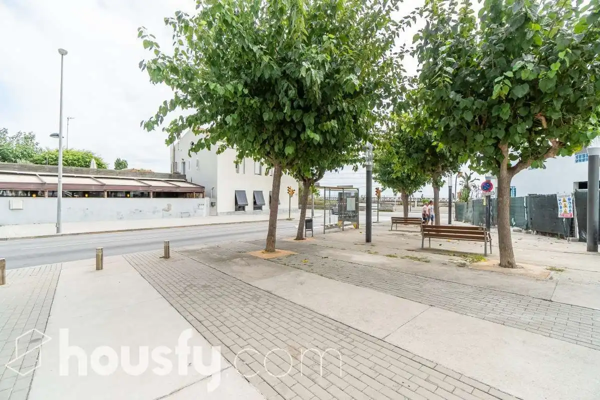Piso con jardín en venta en Calle Marques de monsolis ., imagen 22