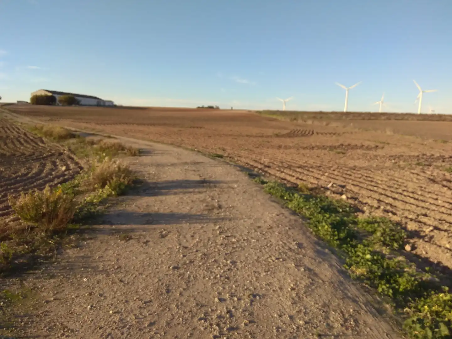 Rural land for sale in Ctra Sanlúcar - Cuatro Pinos, imagen 4