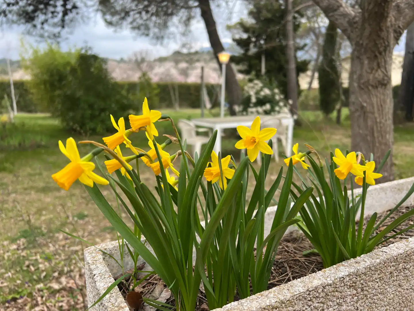 Jardín de Casa o chalet en venta en Murillo de Gállego