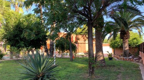 Foto 4 de Casa o xalet en venda a La Algoda - Matola - Llano de San José, Elche / Elx