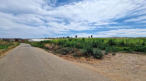 Foto 3 de Terreny en venda a  Finca Rehacios Angostos, Puerta, Riolobos, Cáceres