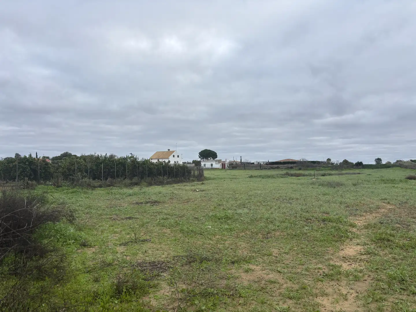 Terreni e lotti in vendita a Villanueva del Ariscal, imagen 18