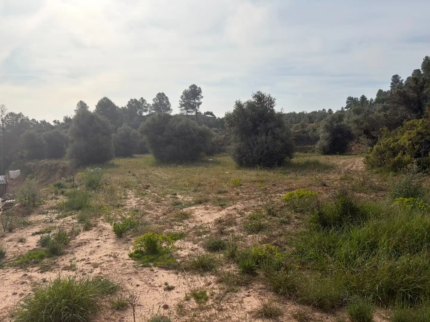 Terreno rustico in vendita a Ascó, imagen 6