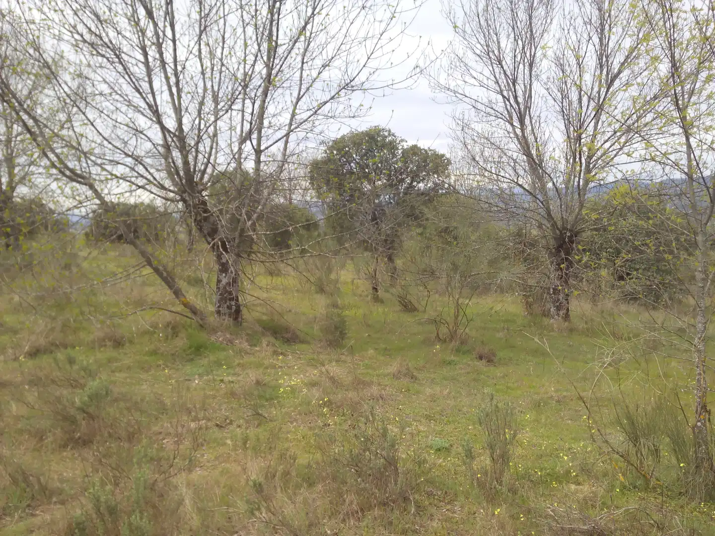 Terreno en venta en Aldea del Fresno