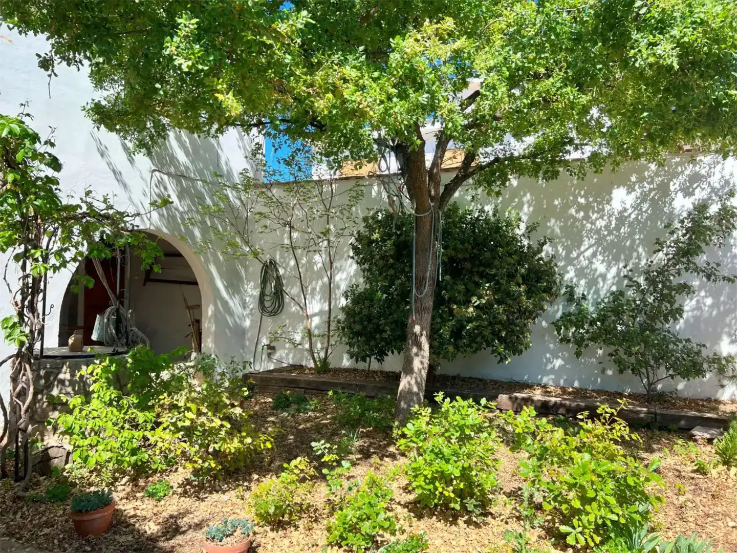 Garden of Flat for sale in Camporrobles  with Private garden, Storage room and Furnished