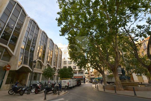 Oficina en Alquiler en Transits en Sant Francesc