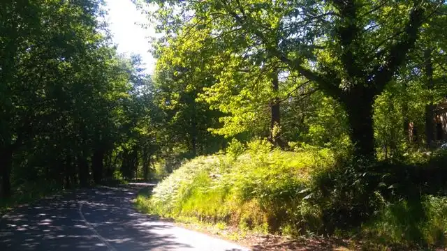 Lands and plots for sale in A Estrada, imagen 3