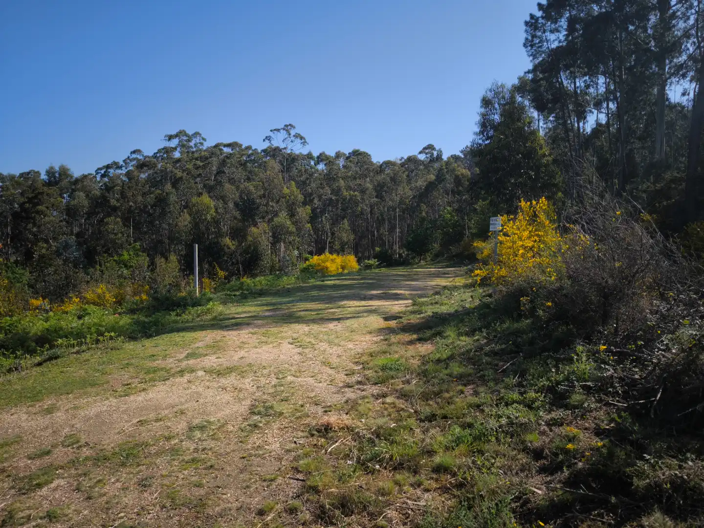 Terreno rustico in vendita a Cea, imagen 4