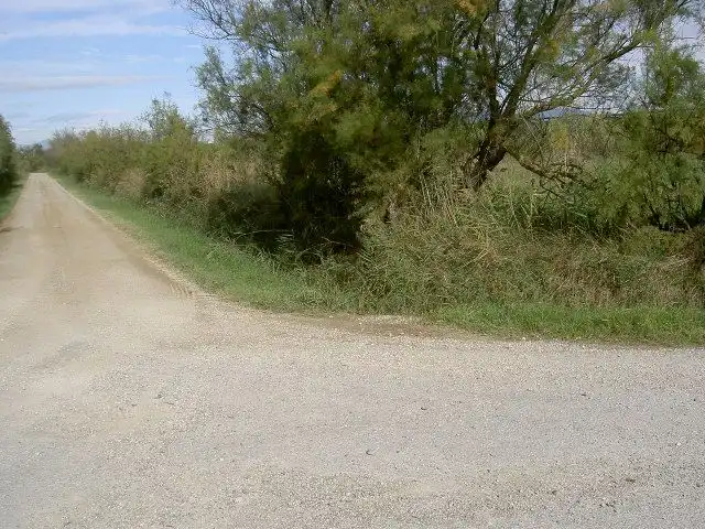 Rural land for sale in Sant Pere Pescador, imagen 51