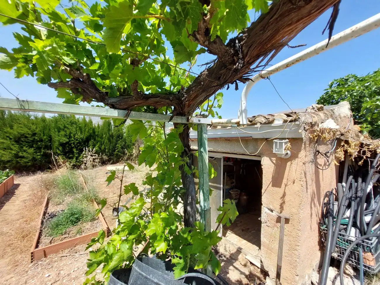 Jardín de Casa o chalet en venta en Ondara con Aire acondicionado, Calefacción y Jardín privado