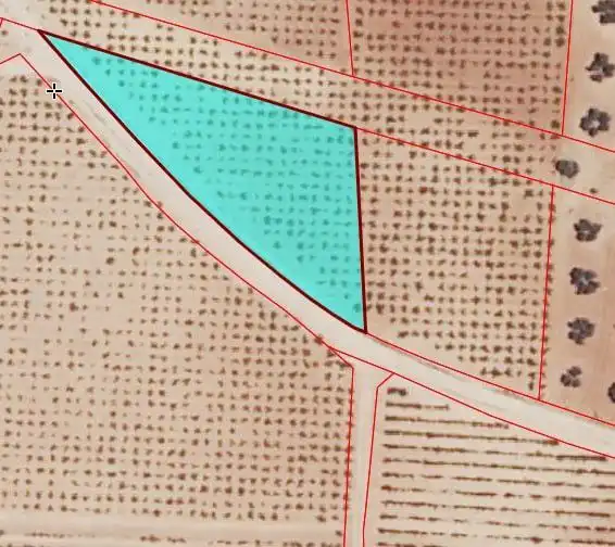 Lands and plots for sale in Valdepeñas, imagen 19