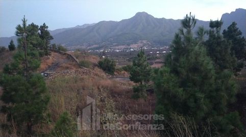 Photo 5 of Residential for sale in El Paso, Santa Cruz de Tenerife