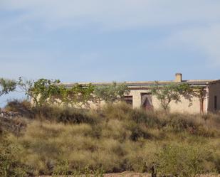 Exterior view of Country house for sale in Mula
